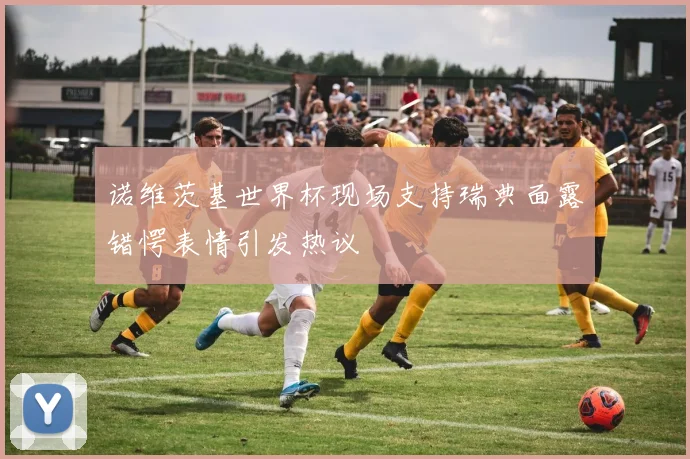 诺维茨基世界杯现场支持瑞典面露错愕表情引发热议