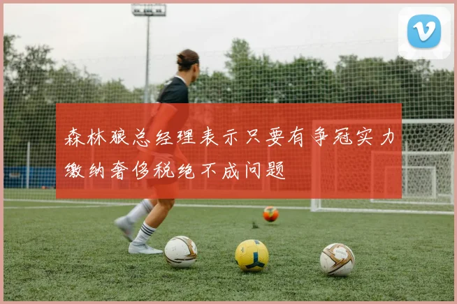 森林狼总经理表示只要有争冠实力缴纳奢侈税绝不成问题